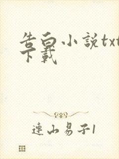 告白小说txt下载