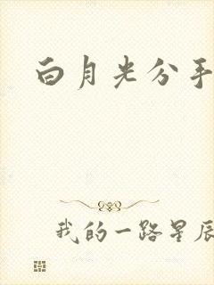 白月光分手日常