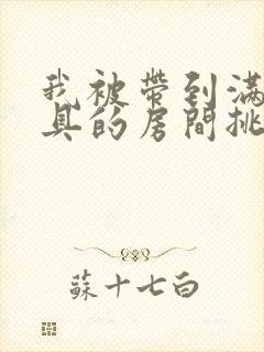 我被带到满是玩具的房间挑调作文