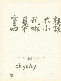 宝贝我不想带小雨伞啦小说