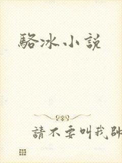 骆冰小说