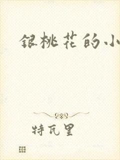 银桃花的小说