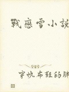 战恋雪小说