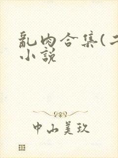 乱肉合集(二)小说