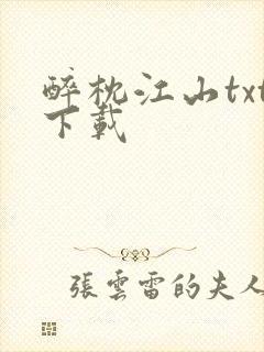 醉枕江山txt下载