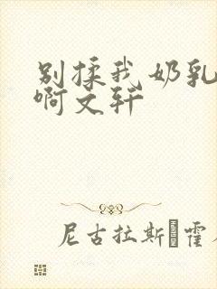 别揉我奶乳嗯～啊文轩