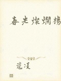 春光灿烂杨家将