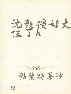 沈教授好大含不住了h
