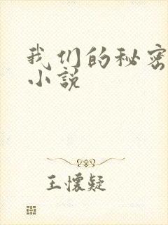 我们的秘密泰剧小说