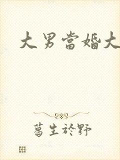 大男当婚大结局