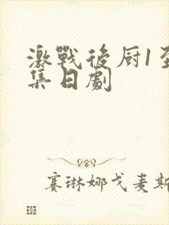 激战后厨1至5集日剧