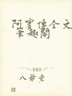 阿宾传全文阅读 笔趣阁