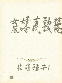 女婿有劲枪枪到底啥我钱飞了