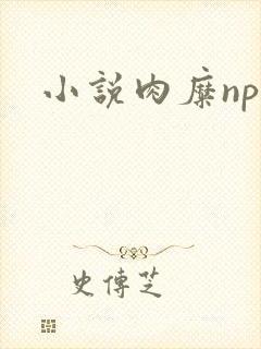 小说肉糜np