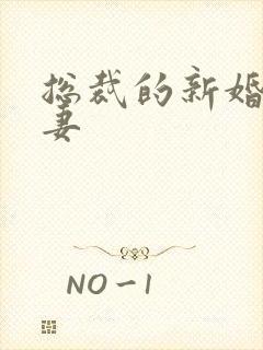 总裁的新婚下堂妻