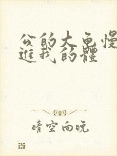 公的大龟慢慢挺进我的体