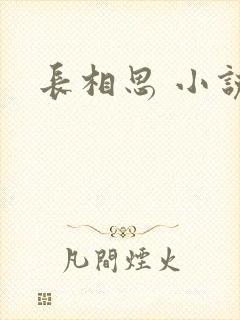 长相思 小说