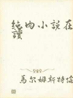 纯肉小说在线阅读