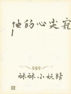 他的心尖宠1v1