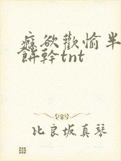 瘾欲欢愉半块小饼干tnt