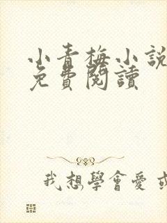 小青梅小说全文免费阅读