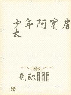 少年阿宾房东太太