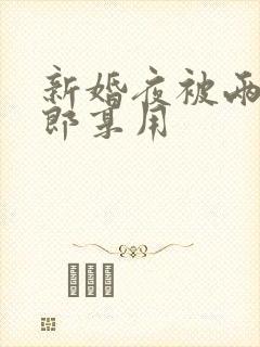 新婚夜被两个伴郎享用封面