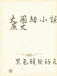 大团结小说阅读原文