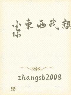 小东西我想弄坏你