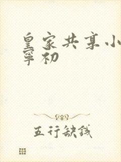 皇家共享小公主宁初