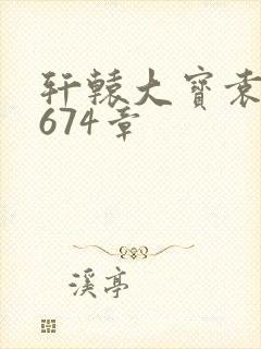 轩辕大宝袁雪妃674章