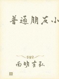 普通朋友小说