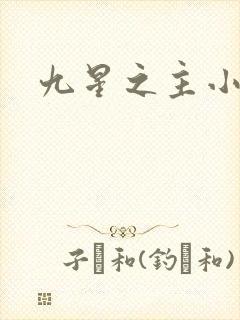 九星之主小说