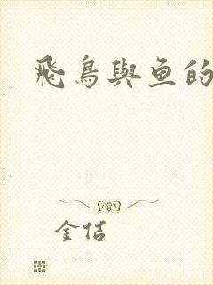 飞鸟与鱼的故事