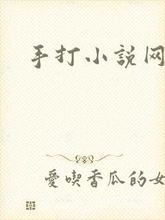手打小说网