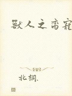 兽人之脔宠封面