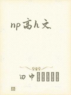 np高h文