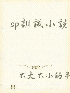 《sp训诫小说》小说封面