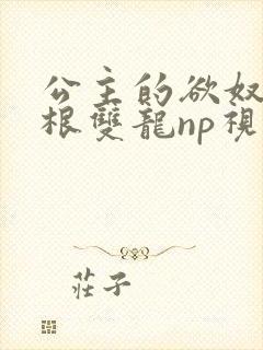 公主的欲奴h四根双龙np视频