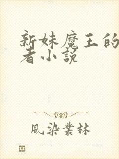 新妹魔王的契约者小说