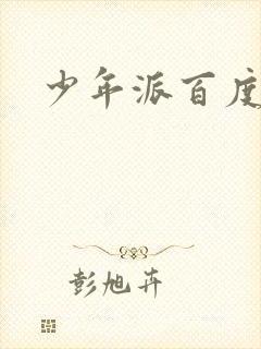 少年派百度百科