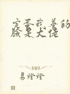 完蛋我养的小白脸是大佬