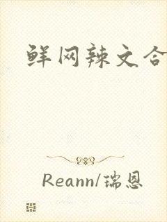 鲜网辣文合集