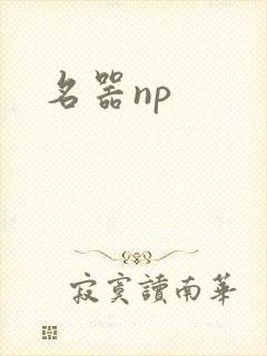 名器np
