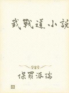 武战道小说