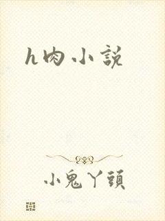 h肉小说