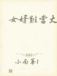 女婿难当大结局