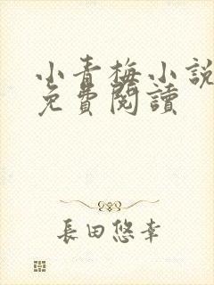 小青梅小说全文免费阅读