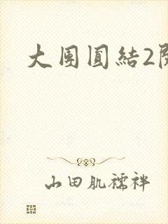 大团圆结2阅读