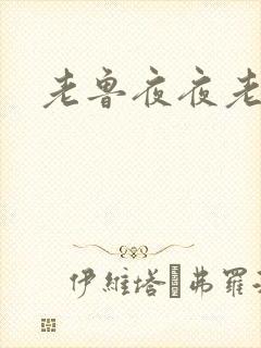 老鲁夜夜老鲁